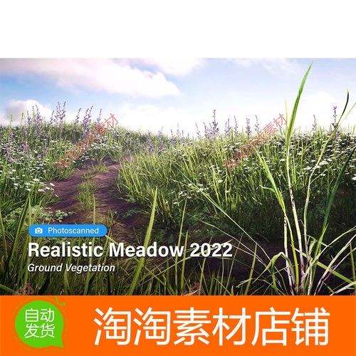 Unity Realistic Meadow 2022 Ground Vegetation 2022.0.1