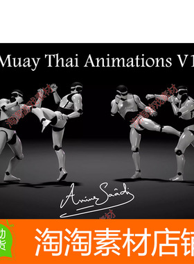 Unity3d Combat animations - Kickboxing and Muay Thai V1 1.0