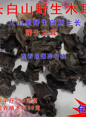 东北野生木耳东北山珍特产