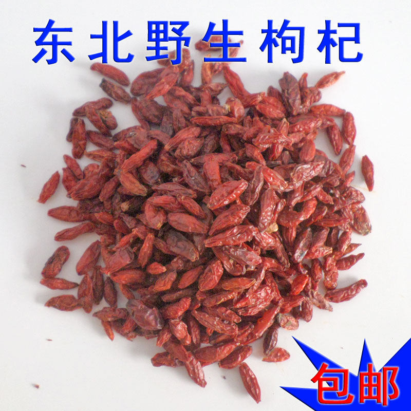 野枸杞子东北特产长白山天然野外生红枸杞泡茶枸杞非宁夏中宁包邮