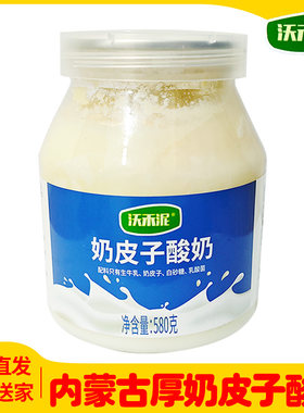 内蒙古大罐装鲜奶皮子酸奶发酵