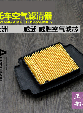 摩托车DH100-41A 42-43-45空气滤芯适用威武 威胜S 滤清器过滤器