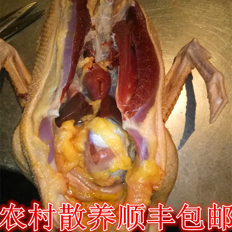 农家土鹅草鹅土鸭老鹅柴鹅肉番鸭红头鸭绿头鸭农户散养量小每斤价