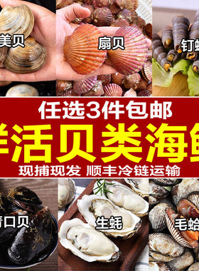 海鲜贝类组合套餐水产包邮