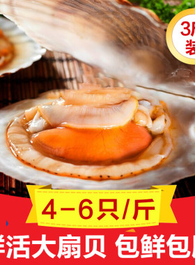 鲜活现发虾夷蒜蓉粉丝海鲜烧烤