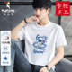 t恤男印花汗衫 初高中生纯棉短袖 青少年学生t恤百搭 新款 啄木鸟夏季