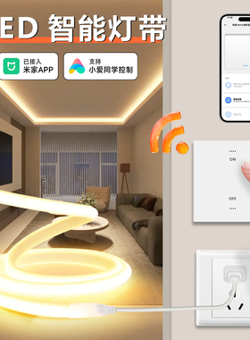 LED智能灯带无线开关灯条家用吊顶客厅卧室天花超亮220v背景墙米