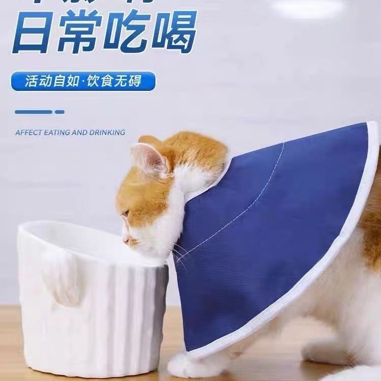 猫咪伊丽莎白圈防舔无纺布宠物项圈软脖圈加深伊利莎白绝育猫头套,宠物/宠物食品及用品,宠物伊丽莎白圈,淘宝优惠券,粉丝福利购,淘宝优惠卷
