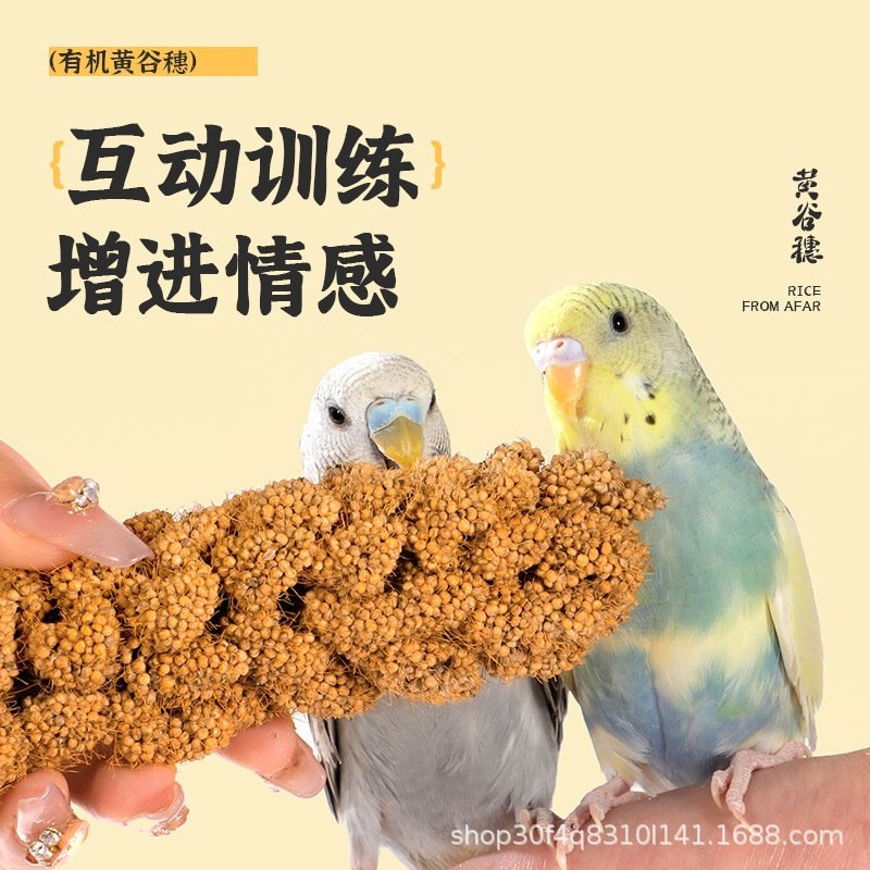 鹦鹉谷穗虎皮牡丹玄凤玩具啃咬训练奖励解闷小零食鸟用品大全,宠物/宠物食品及用品,鸟食,淘宝优惠券,粉丝福利购,淘宝优惠卷