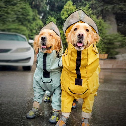 狗四脚雨衣中大型犬防水冲锋衣