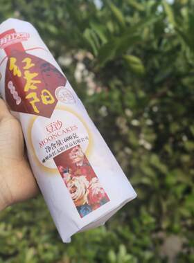 红太阳苏式嵊州酥皮苏式月饼新鲜