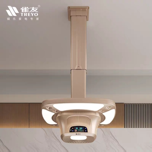 雀友麻将机棋牌室吸烟灯麻将室空气净化器外排升降排气吊灯P100