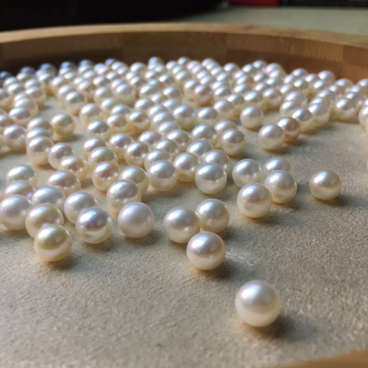 圆形微瑕白色可制作耳饰淡水珍珠