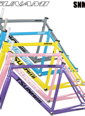 TSUNAMI海啸速那米SNM100死飞单速铝合金竞速场地自行车700C车架