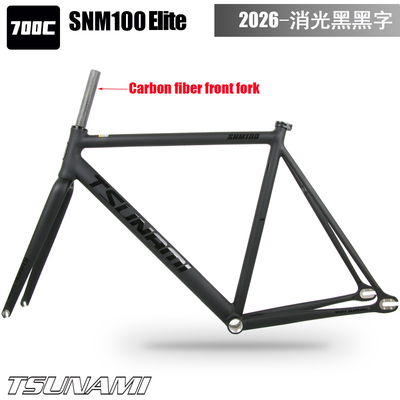 TSUNAMI海啸SNM100Elite死飞车架
