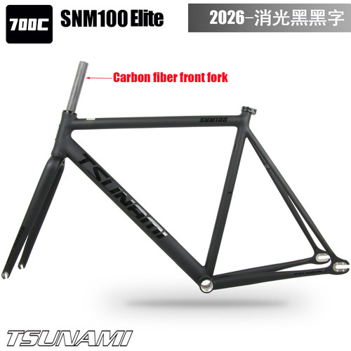 TSUNAMI海啸SNM100Elite死飞车架