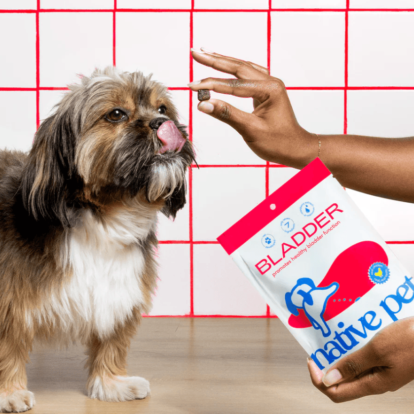 蔓越莓提取物狗狗现货NativePet