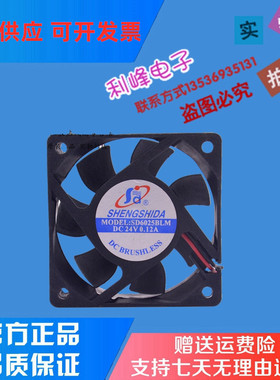 6cm DC24V 0.12A（SD6025BLM）双滚珠轴承 6CM SHENGSHIDA