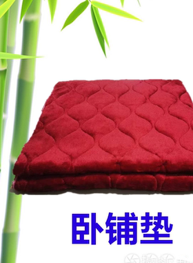 秋冬季货车卧铺床垫毛毯绒棉垫坐垫加厚保暖解放东风天龙后排睡垫