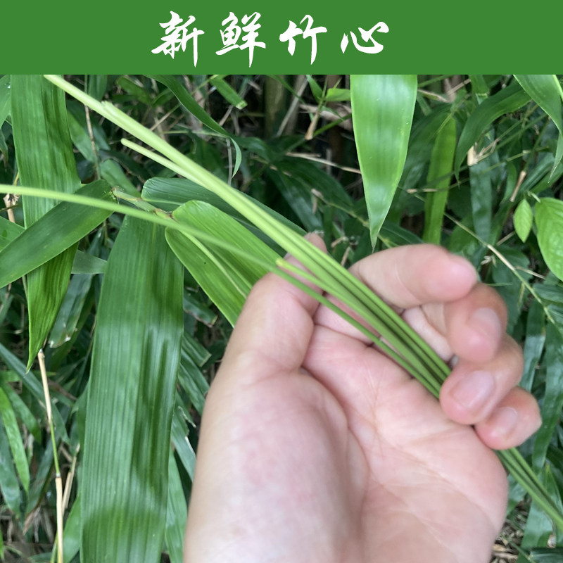 新鲜竹叶心现采竹叶芯自然单竹心嫩芽竹芯竹卷心下火凉茶顺丰包邮