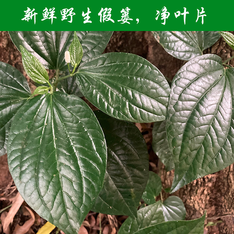 蛤篓野生配料食用新鲜