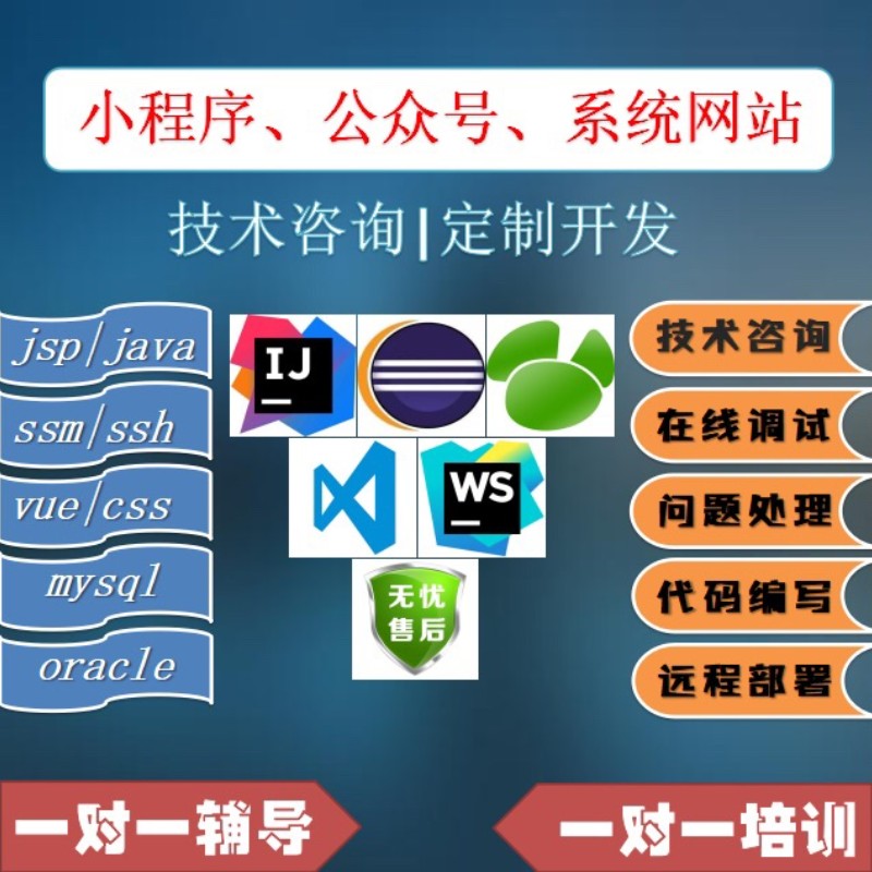 计算机技术咨询 bug处理 远程协助 问题解决 软件安装 程序开发