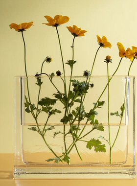 挪威lokk玻璃花瓶透明客厅插花器