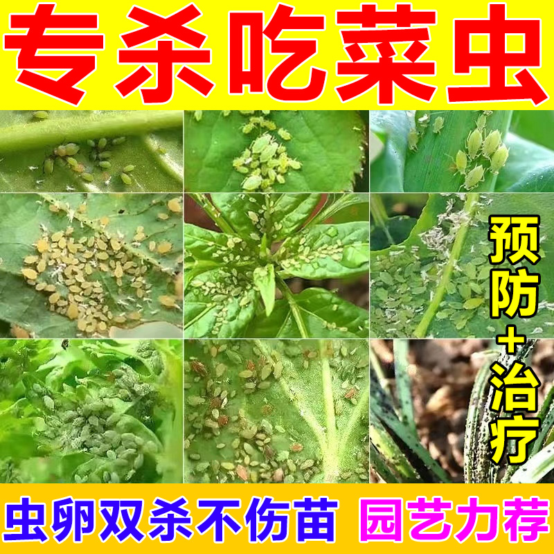 蔬菜蚜虫杀虫药花卉小菜园辣椒番茄子黄瓜白粉虱蜜腻虫杀虫剂大全