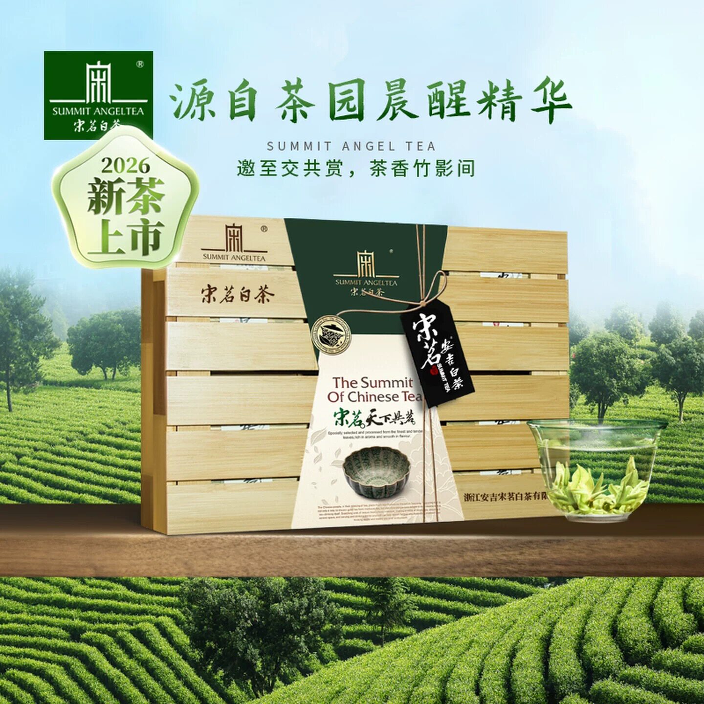 2026新茶上市宋茗安吉白茶198g大竹海明前绿茶礼盒装合肥实体店