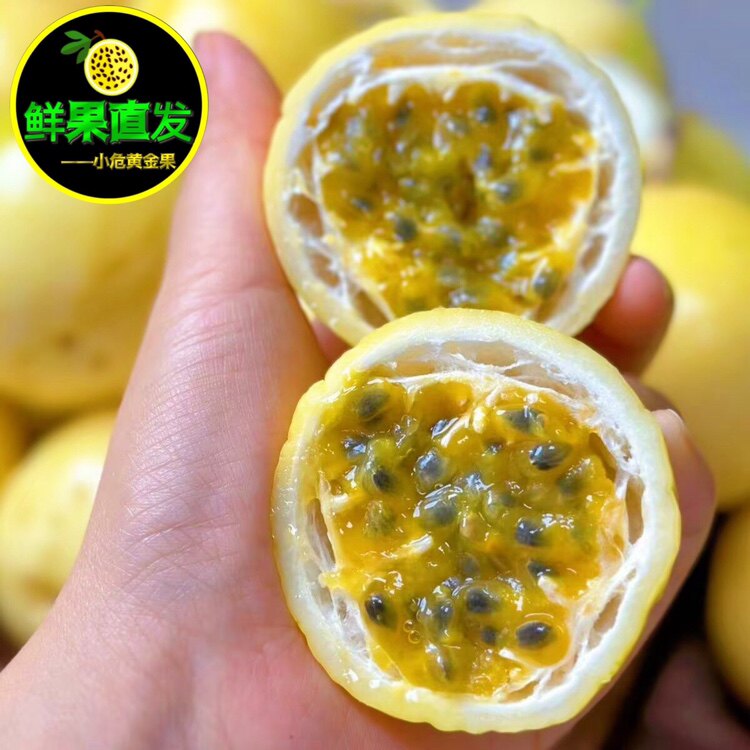 钦蜜9号黄金百香果可开发票公司定购龙岩武平像洞产地源头直发