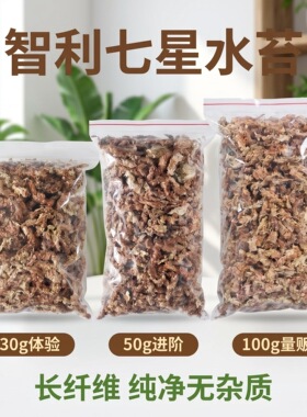 智利水苔进口毛毛虫蝴蝶兰鹿角撅专用七星干苔藓营养土爬宠垫材