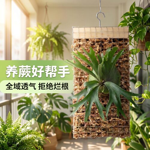 鹿角蕨智利水苔种植铁网 304不锈钢定植网壁挂上墙绿植栽培固定架