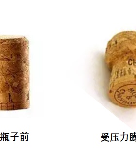 厂家直销375ml750ml香槟玻璃酒瓶黑色金色银色铁丝盖香槟专用木塞