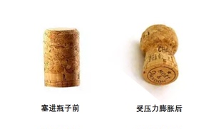 厂家直销375ml750ml香槟玻璃酒瓶黑色金色银色铁丝盖香槟专用木塞