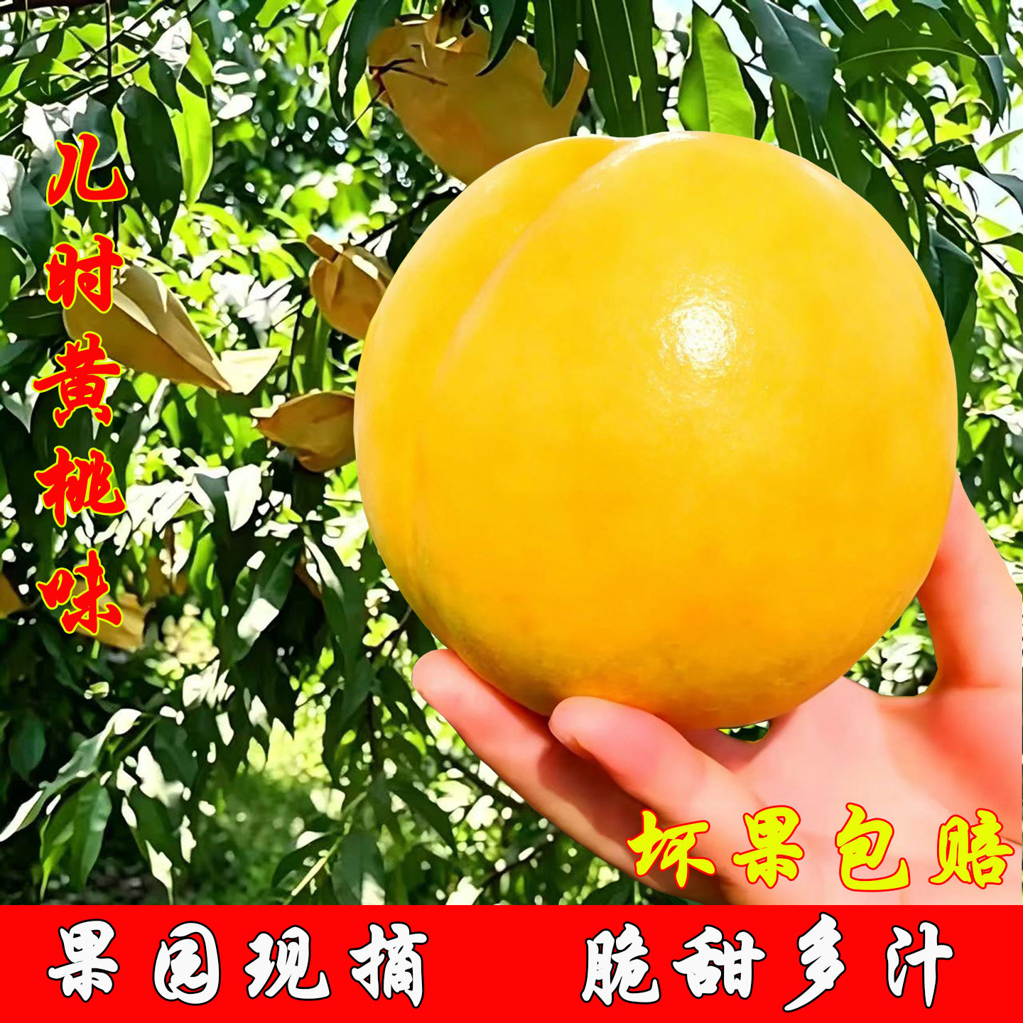 桃子新鲜水果黄金油桃黄桃大脆桃应季当季时令水果蒙阴甜蜜桃整箱