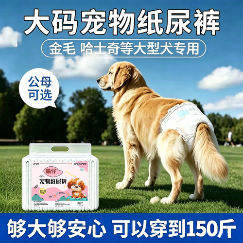 大狗纸尿裤母狗狗尿不湿姨妈巾大型犬专用金毛生理裤卫生巾月经裤