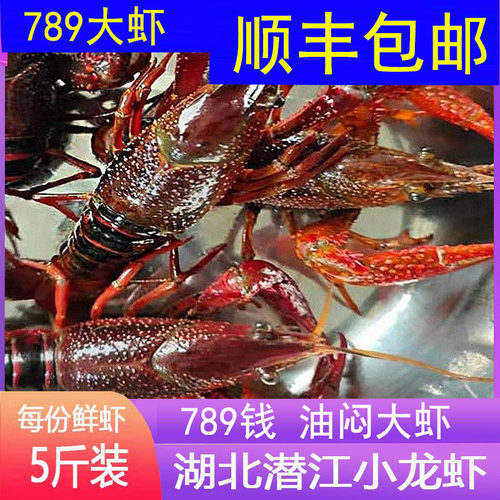 【5斤装789】湖北潜江小龙虾鲜活789大青红5斤清水稻田虾油焖大虾