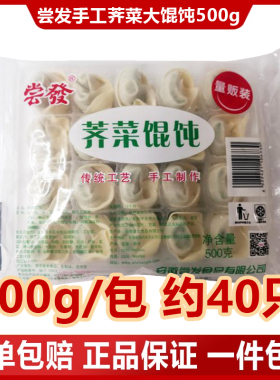 尝发大馄饨500g荠菜/三鲜/猪肉大馄饨早餐速冻小吃云吞40只/包