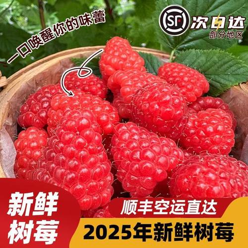 怡颗莓新鲜树莓孕妇酸甜水果