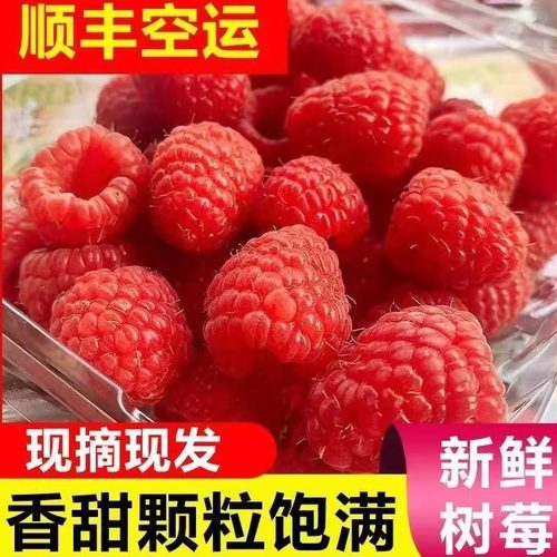 新鲜树莓鲜果覆盆子水果顺丰空运