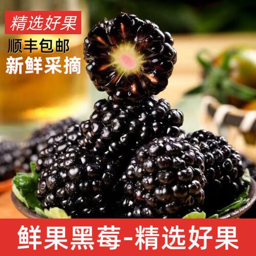 云南现摘新鲜黑树莓鲜果覆盆子当季黑莓应季水果商用儿童孕妇辅食
