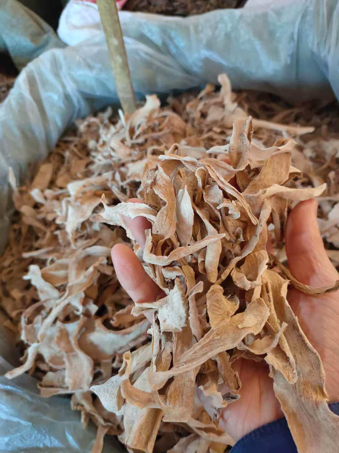 野生滴水观音根 大海宇 野宇根 干片无硫1000克