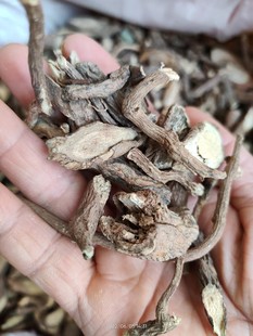 大山中草药材古羊藤 老鸦咀 毛青才 南苦参 奶藤 干品无提取