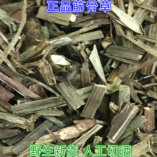 野生筋骨草 四棱筋骨草 四楞筋骨草 箭羽草 非白毛夏枯草 1000克