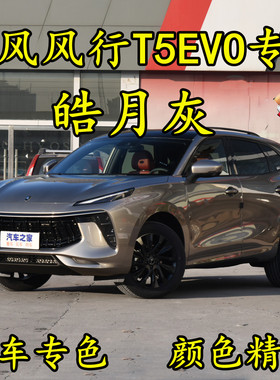 东风风行T5EVO皓月灰色划痕修补漆笔手喷漆防锈金属汽车油漆原厂