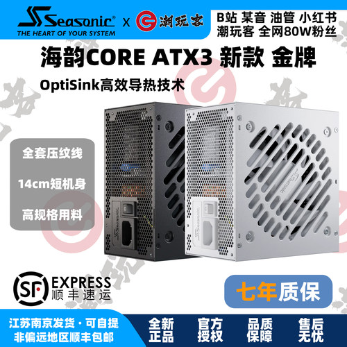COREATX3GX650W全模组电源白