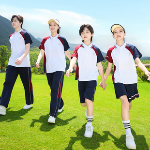 江西抚州市统一指定校服初中高中小学生班服夏季短袖经典运动套装