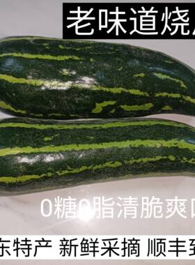 山东特产捎瓜烧瓜梢瓜绿皮脆瓜花皮沂蒙老式烧瓜青龙脆瓜顺丰包邮