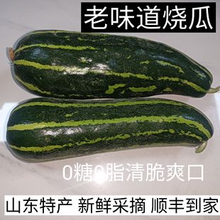 包邮 山东特产捎瓜烧瓜梢瓜绿皮脆瓜花皮沂蒙老式 烧瓜青龙脆瓜顺丰