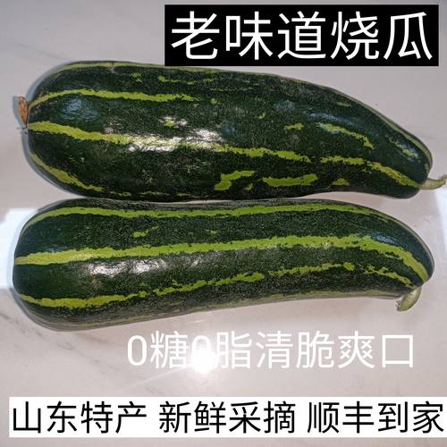 山东特产捎瓜烧瓜梢瓜绿皮脆瓜花皮沂蒙老式烧瓜青龙脆瓜顺丰包邮
